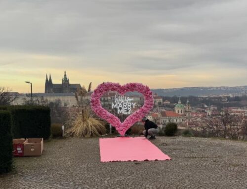 הצעת נישואין בפראג המוכנה לאינסטגרם: אובססיה לקשת פרחים מפלסטיק